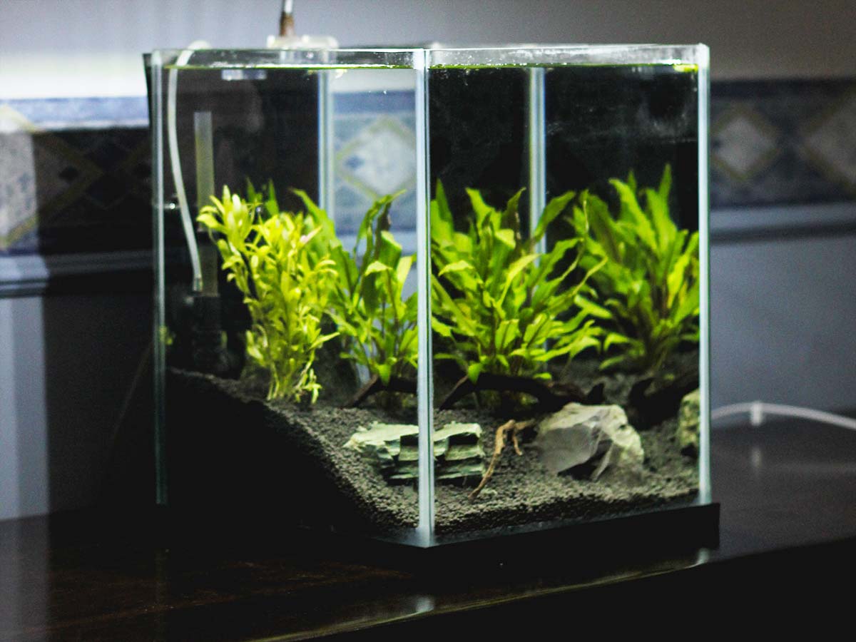 Plastic for Aquariums