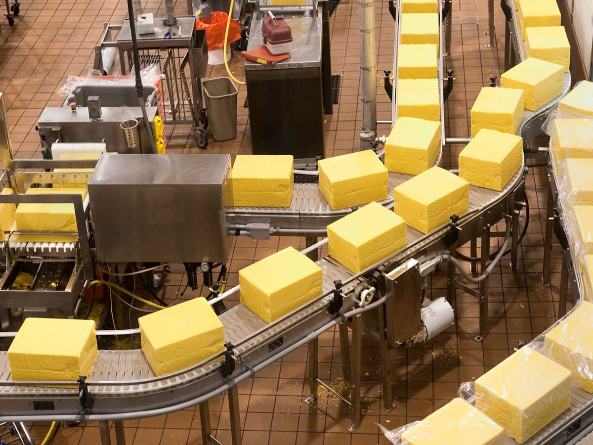 Cheese Manufacturing and Processing Materials