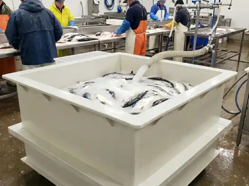 A slurry ice bin made of polypropylene used in a seafood processing facility.