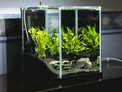 Acrylic is a good choice for aquariums due to its clarity and ability to bond using solvents.