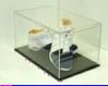 Acrylic Sheet | Clear Extruded Paper-Masked Image 3