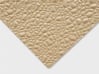 NUDO<sup>®</sup> FIBERLITE FRP EMBOSSED | CLASS C (#LP-F9) BEIGE SHEET