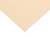 PALCLAD PRO PVC WALL CLADDING SYSTEM PANEL | BEIGE