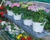 Shelf Kit for Snap & Grow Greenhouses