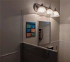 Urinal Dividers Image 2